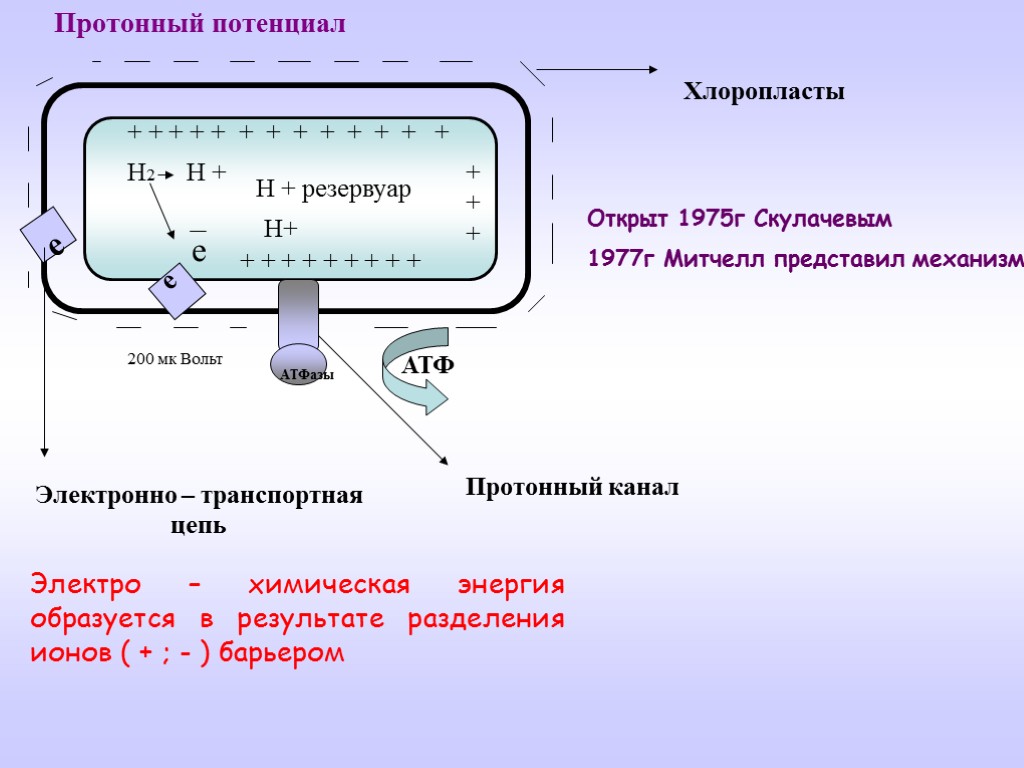 Н2 Н + е е е + + + + + + + +